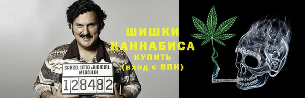 гашик Покровск